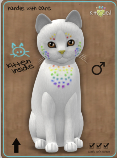 KittyCatS Box - Confetti - CocoBerry Male