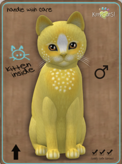 KittyCatS Box -  Confetti - LemonBerry Male