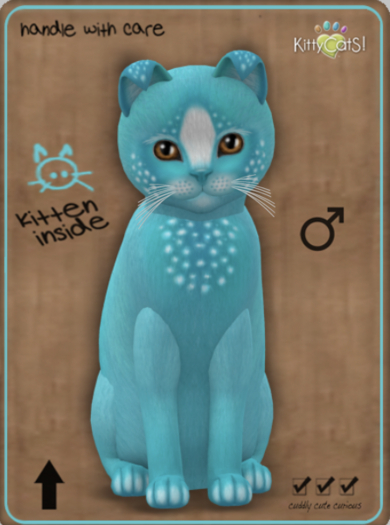 KittyCatS Box - Confetti - TealBerry Male