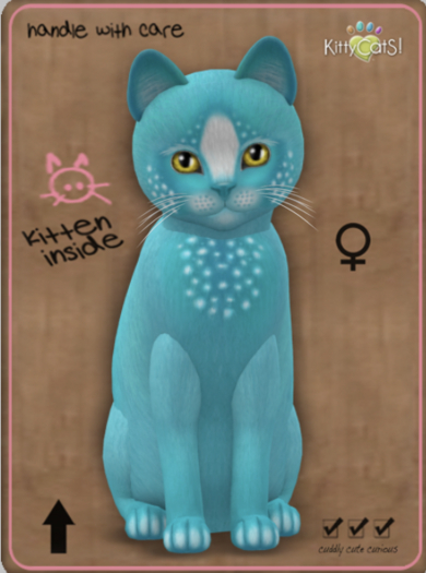 KittyCatS Box - Confetti - TealBerry Female