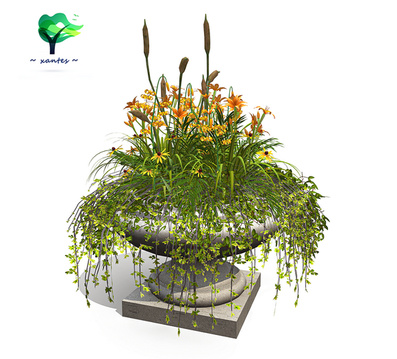 ~ xantes ~ Flowers Planter Lenka (BOX)