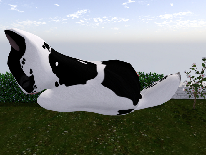 Stray Cats Kitten - Stray Kitty (F)