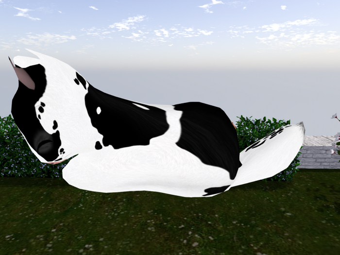 Stray Cats Kitten - Stray Kitty (M)