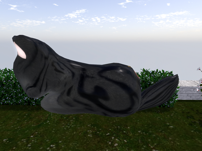 Stray Cats Kitten - Stray Kitty (M)