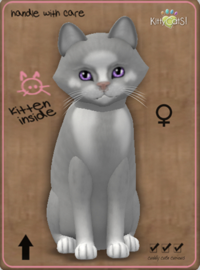 KittyCatS Box - Genesis - Diamond V Teacup Female