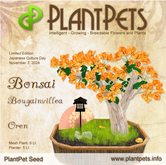 PlantPet Seed [Bonsai Bougainvillea *Oren*]