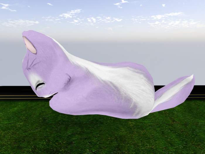 Stray Cats Kitten - Stray Kitty (M)