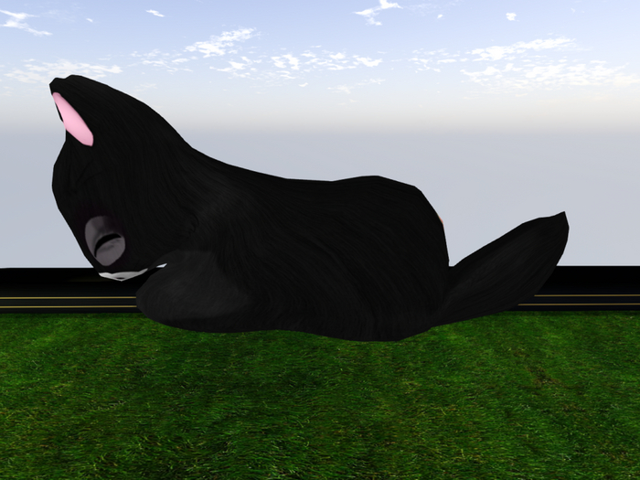 Stray Cats Kitten - Stray Kitty (M)