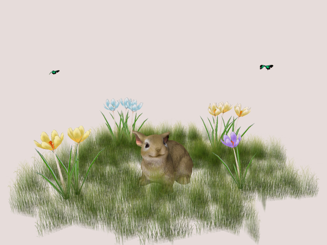 Cute Bunny with Butterfly's