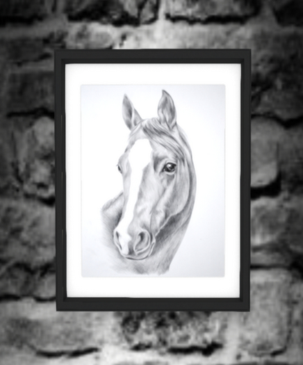 Horse Drawing
