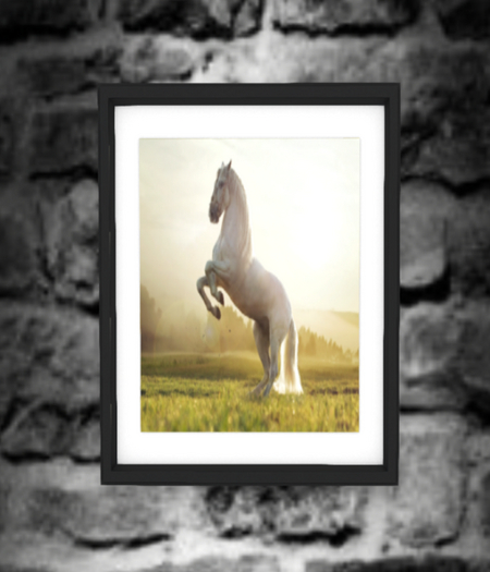 White Horse