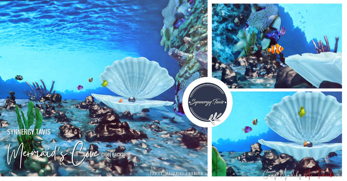 SYNNERGY// Mermaid's Cove {360} Backdrop