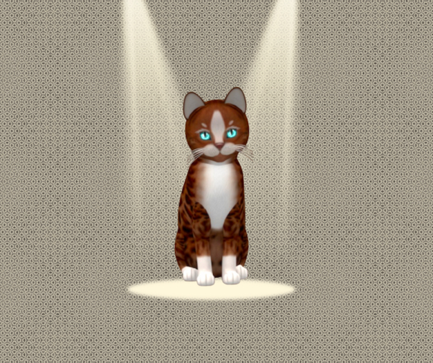 Kittycats ♀ New Born Kitten Genesis - Ginger II  BlueBerry