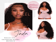 Jada/ Shape LeL Halle head 4.0 Evo X