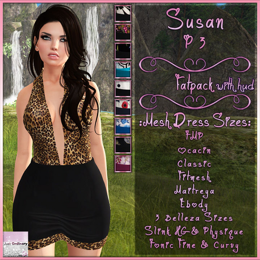 Susan Dress With Hud P3