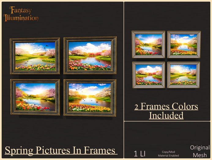 Pictures In Frames