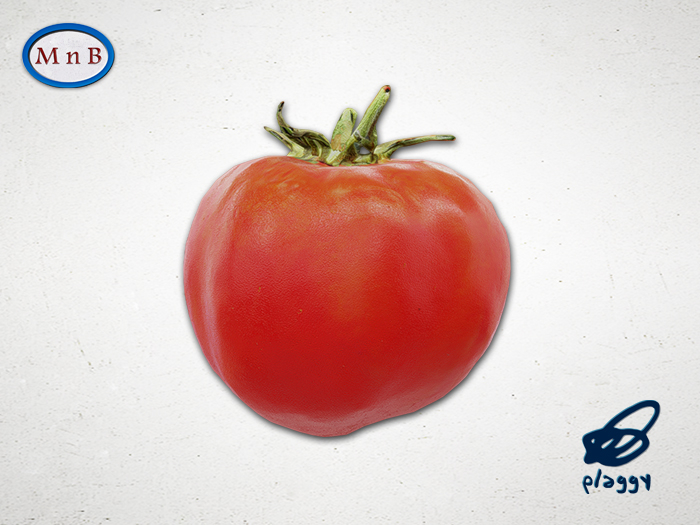 Tomato - full permission