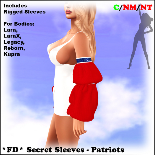 *FD* Secret Sleeves [Boxed] Patriots