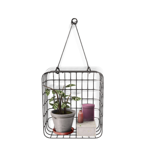 ionic : Mi plantita