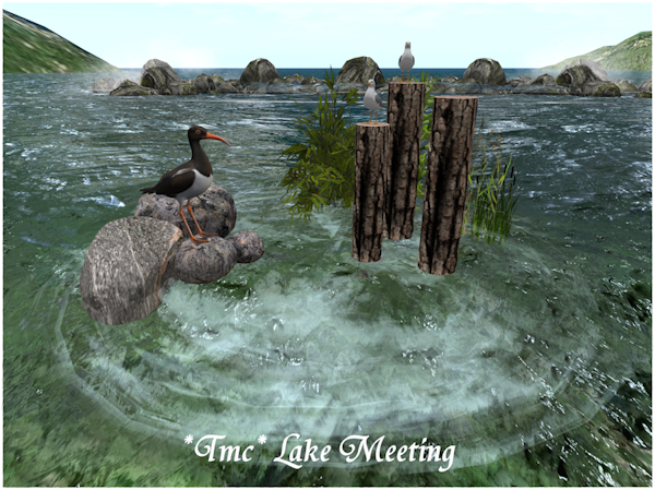 ~TMC~ Lake Meeting