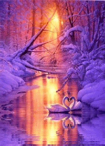 Two swans animated frame