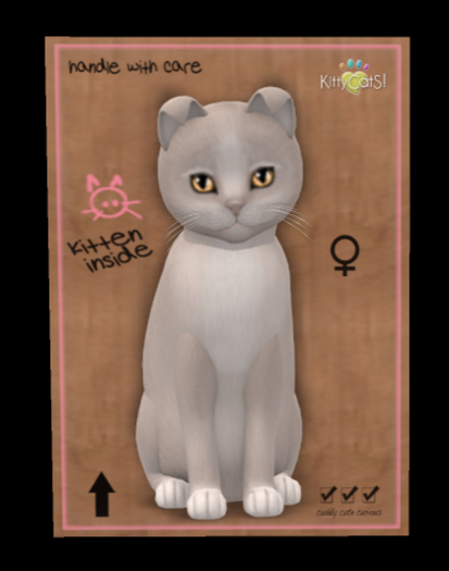 KittyCatS Box - Genesis - Pearl II - Girl