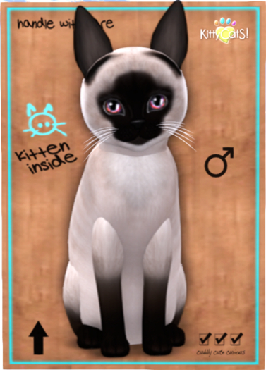 KittyCatS Box - Siamese - Seal - KittyCabbit