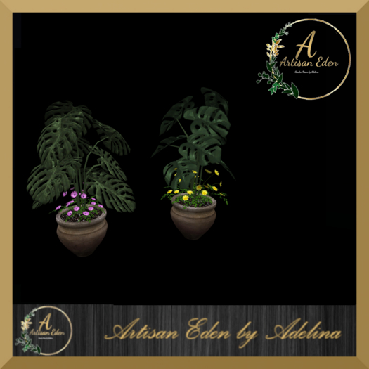 Potted Monstera 2 pcs