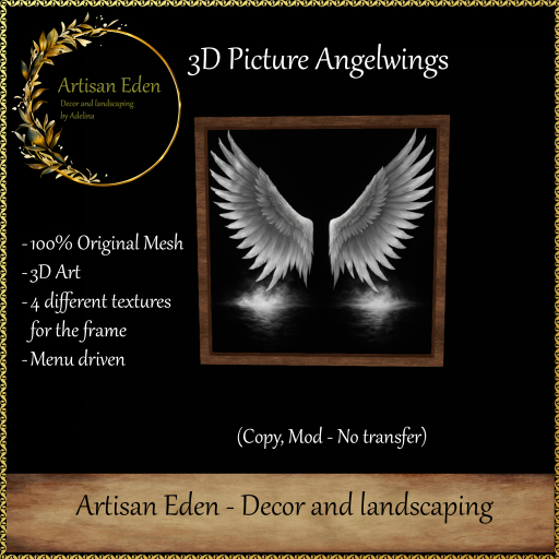 3D Picture - Angelwings
