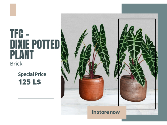 TFC - Dixie potted plant brick 