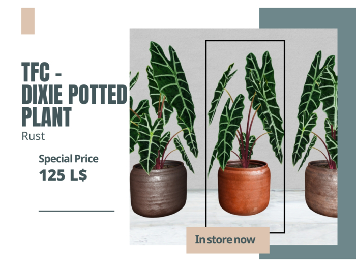 TFC - Dixie potted plant Rust