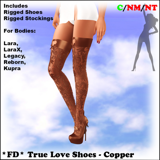 *FD* True Love Shoes [Boxed] Copper