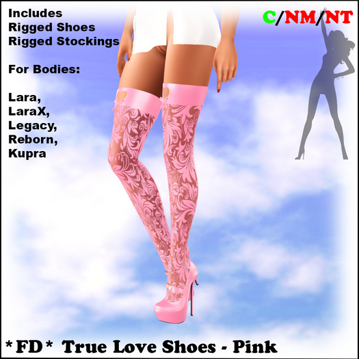 *FD* True Love Shoes [Boxed] pink