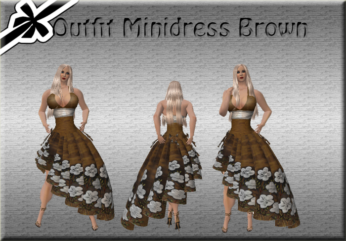 Outfit Minidress Brown