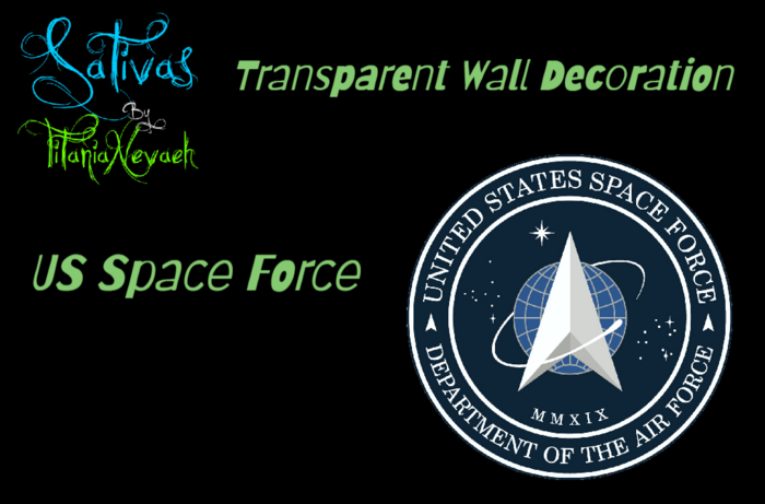 US Space Force Wall Decal
