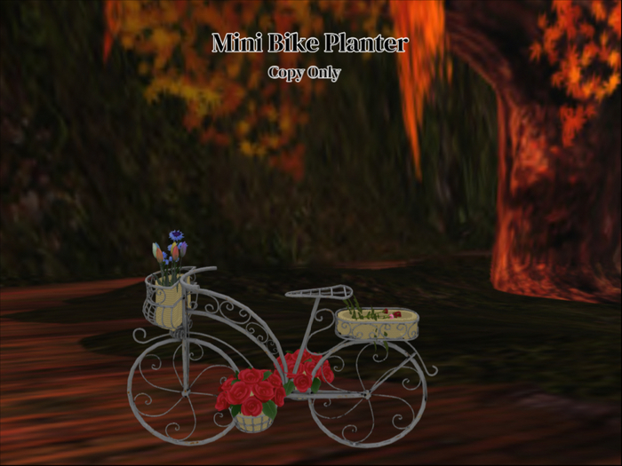 Closet Shopping-- Bike Planter