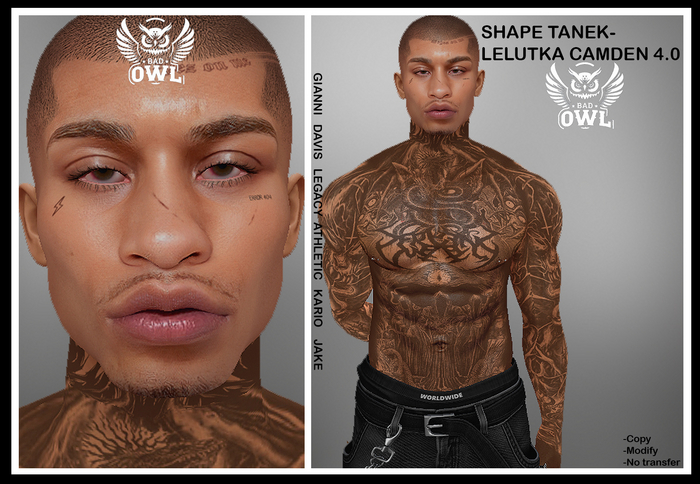 SHAPE TANEK-LELUTKA CAMDEN 4.0