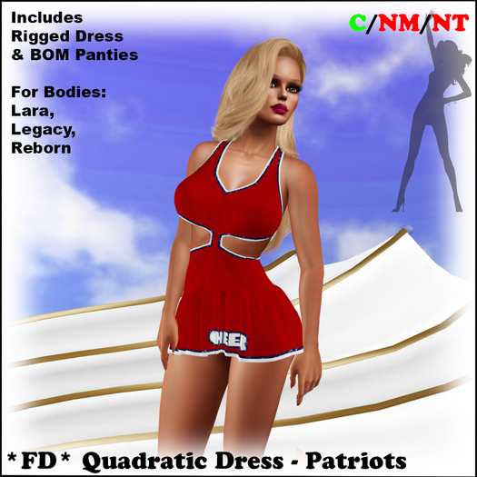 *FD* Quadratic Dress [Boxed] Patriots