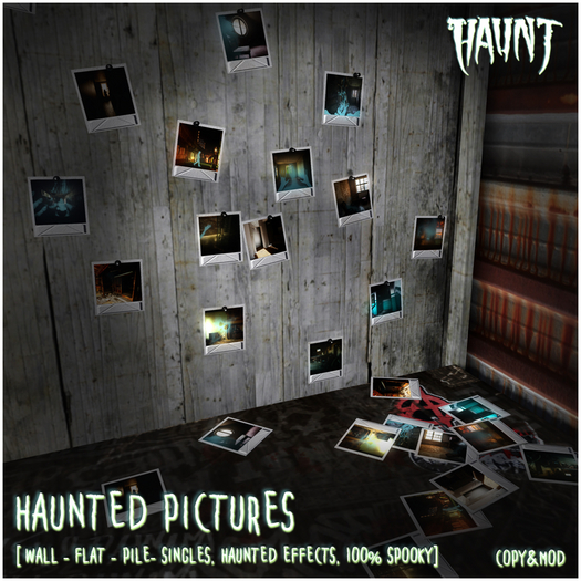 HAUNT - Haunted Pictures