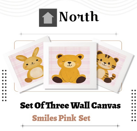 {North}Smiles Pink