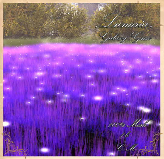 .Lunaria. Galaxy Grass 
