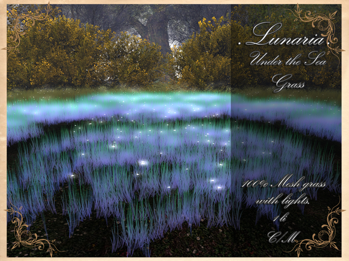 .Lunaria. Under the Sea Grass 