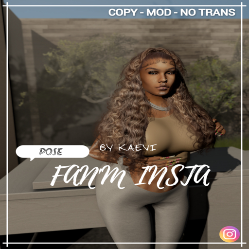 FAN'M BASIC' (PACK)