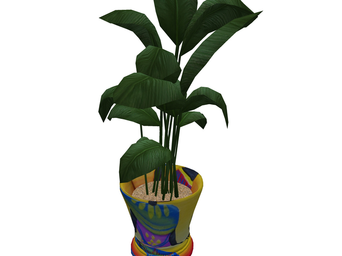 TODDY PLANT POT
