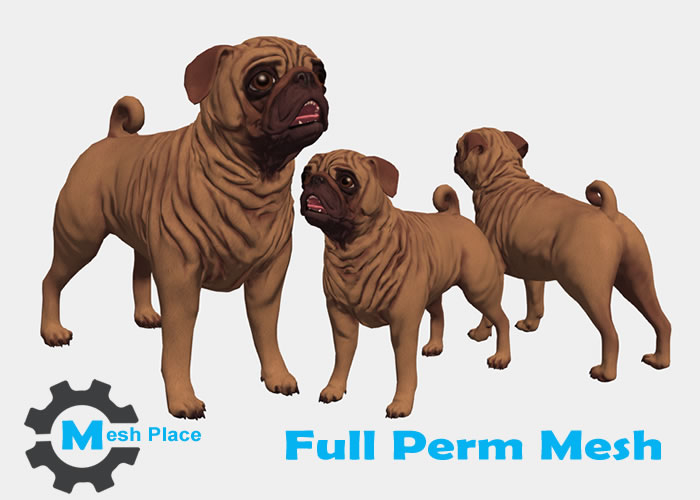 Mesh Place Pug Dog Full Perm