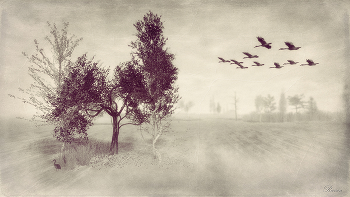 Misty - Artwork by Raven Arcana