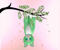 ♂ 9T M Chateau Cat - Lucky Puff No. 1 Oceania Vampire