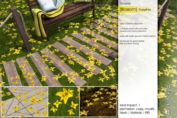 Sway's [Blossom] Ground . Forsythia