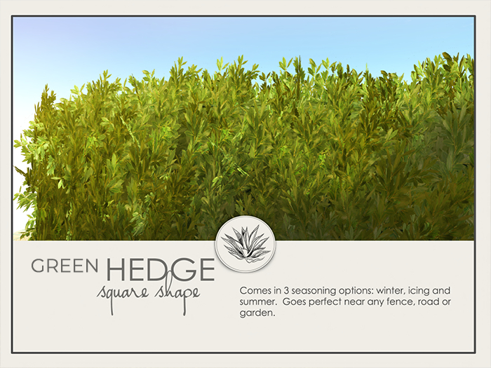 FINCA - Green/leafy hedge