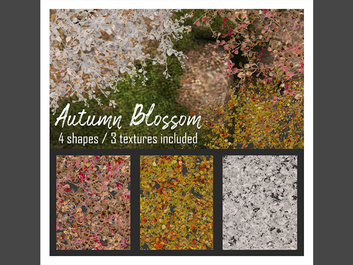 FINCA - Autumn blossom